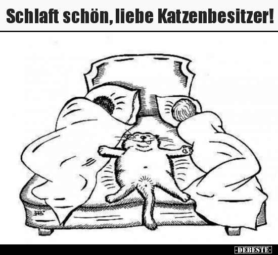 Schlaft schön, liebe Katzenbesitzer.. - Lustige Bilder | DEBESTE.de