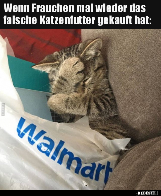 Wenn Frauchen mal wieder das falsche Katzenfutter gekauft.. - Lustige Bilder | DEBESTE.de
