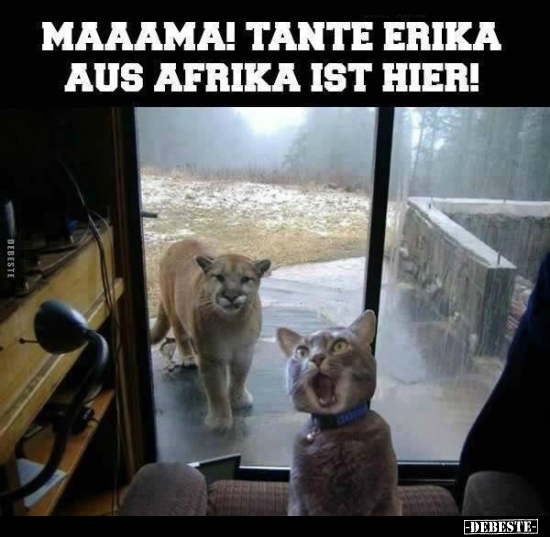 Maaama! Tante Erika aus Afrika ist hier!.. - Lustige Bilder | DEBESTE.de
