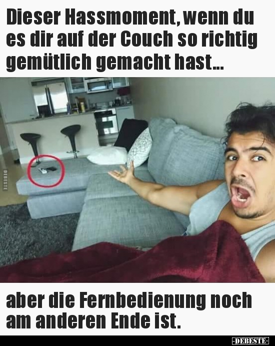 Dieser Hassmoment, wenn du es dir auf der Couch so richtig.. - Lustige Bilder | DEBESTE.de