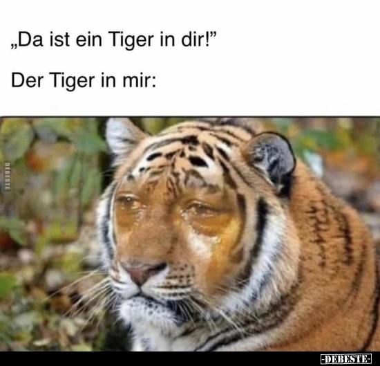 "Da ist ein Tiger in dir!" Der Tiger in mir: - Lustige Bilder | DEBESTE.de