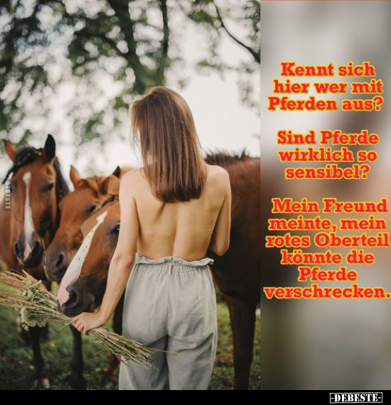Kennt sich hier wer mit Pferden aus?.. - Lustige Bilder | DEBESTE.de