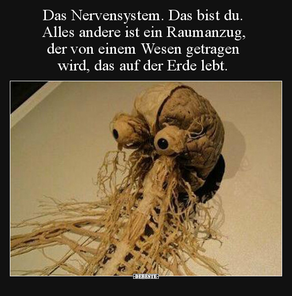 Das Nervensystem. Das bist du. Alles andere ist ein.. - Lustige Bilder | DEBESTE.de