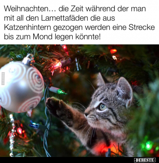 Weihnachten... die Zeit während der man mit all den.. - Lustige Bilder | DEBESTE.de