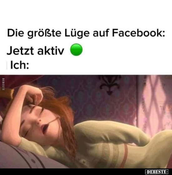 Die größte Lüge auf Facebook.. - Lustige Bilder | DEBESTE.de