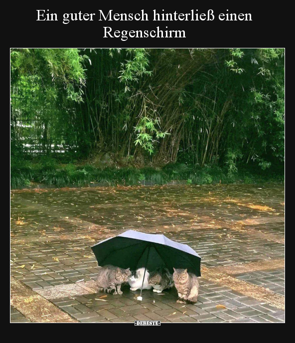 Ein guter Mensch hinterließ einen Regenschirm.. - Lustige Bilder | DEBESTE.de