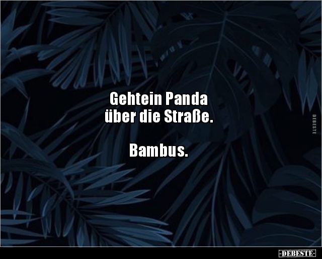 Gehtein Panda über die.. - Lustige Bilder | DEBESTE.de