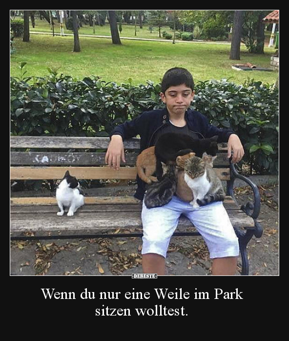 Wenn du nur eine Weile im Park sitzen wolltest... - Lustige Bilder | DEBESTE.de