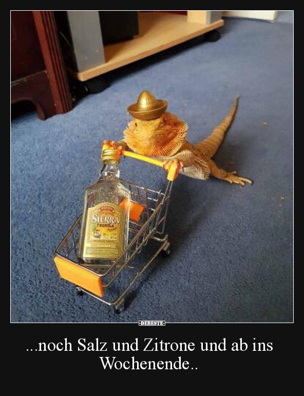 ...noch Salz und Zitrone und ab ins Wochenende.. - Lustige Bilder | DEBESTE.de