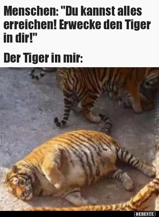 Menschen: "Du kannst alles erreichen! Erwecke den Tiger.." - Lustige Bilder | DEBESTE.de