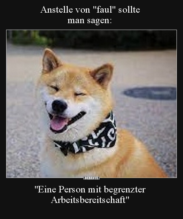 Anstelle von "faul" sollte man sagen: "Eine Person mit.." - Lustige Bilder | DEBESTE.de