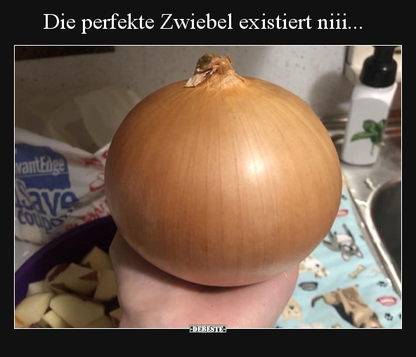 Die perfekte Zwiebel existiert niii... - Lustige Bilder | DEBESTE.de