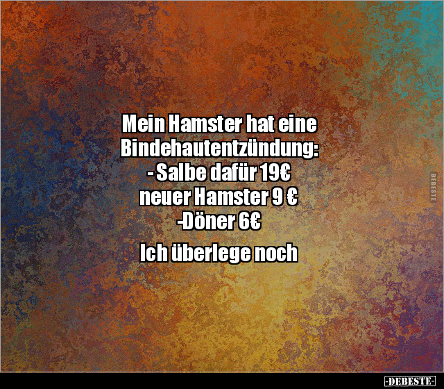 Mein Hamster hat eine Bindehautentzündung.. - Lustige Bilder | DEBESTE.de