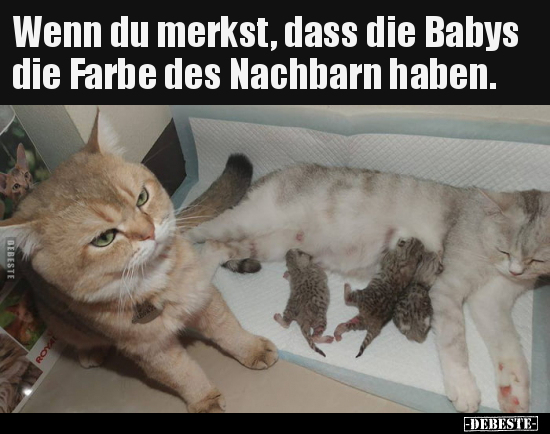 Wenn du merkst, dass die Babys die Farbe des Nachbarn.. - Lustige Bilder | DEBESTE.de