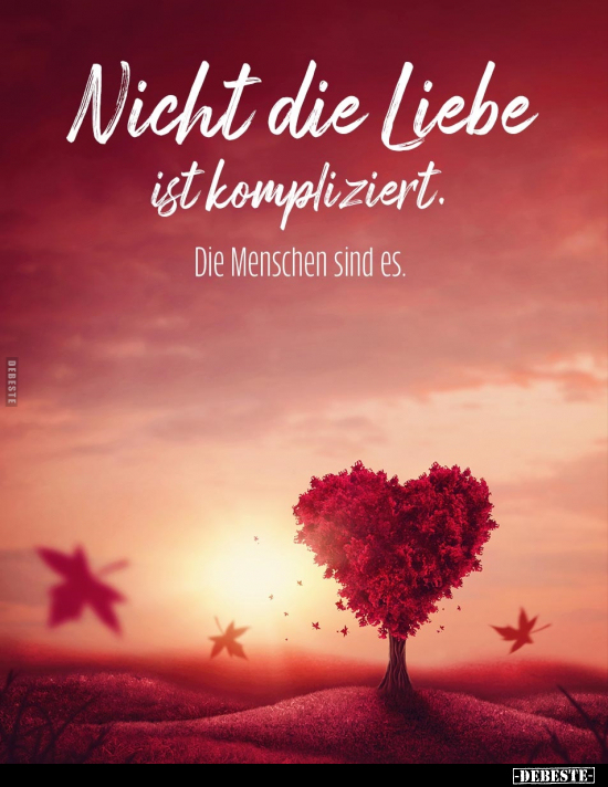 Nicht die Liebe ist kompliziert... - Lustige Bilder | DEBESTE.de