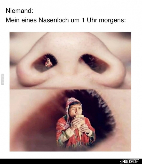 Mein eines Nasenloch um 1 Uhr morgens.. - Lustige Bilder | DEBESTE.de
