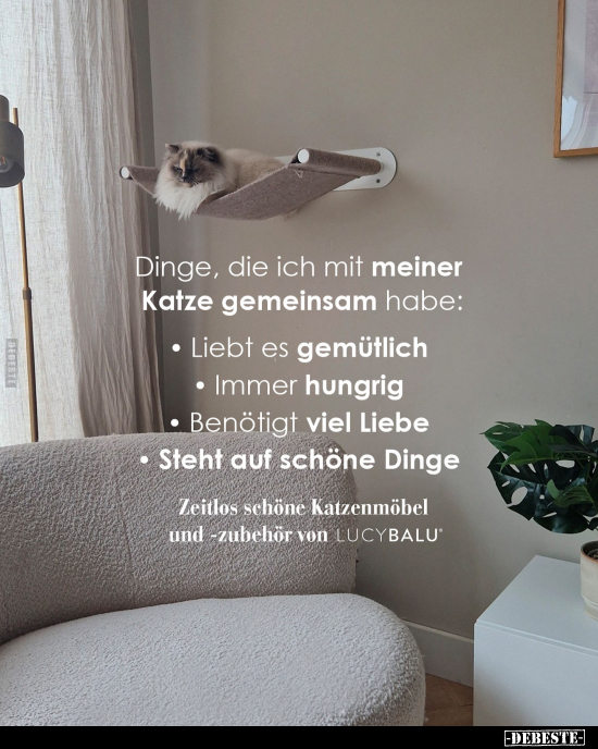 Dinge, die ich mit meiner Katze gemeinsam habe.. - Lustige Bilder | DEBESTE.de