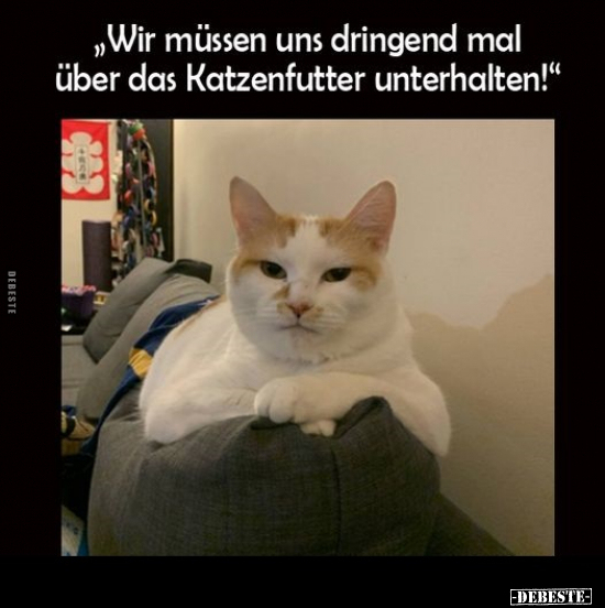 Wir müssen uns dringend mal über das Katzenfutter.. - Lustige Bilder | DEBESTE.de