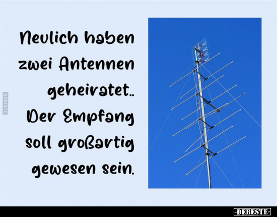 Neulich haben zwei Antennen geheiratet.. - Lustige Bilder | DEBESTE.de