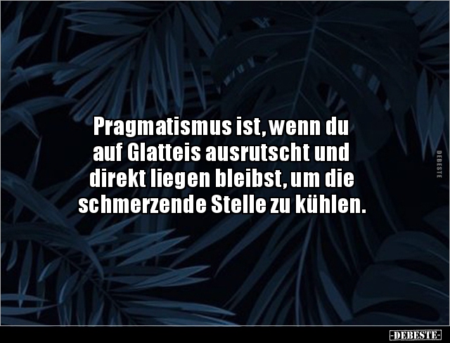 Pragmatismus ist, wenn du auf Glatteis ausrutscht und.. - Lustige Bilder | DEBESTE.de