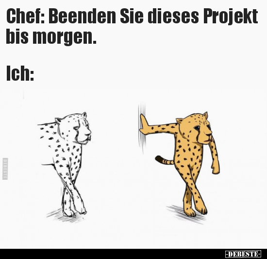 Chef: Beenden Sie dieses Projekt bis morgen... - Lustige Bilder | DEBESTE.de