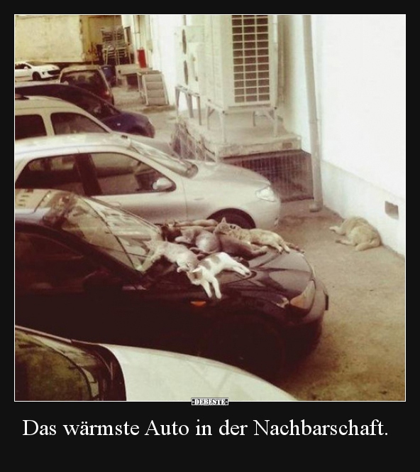 Das wärmste Auto in der Nachbarschaft... - Lustige Bilder | DEBESTE.de
