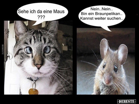 Sehe ich da eine Maus?.. - Lustige Bilder | DEBESTE.de