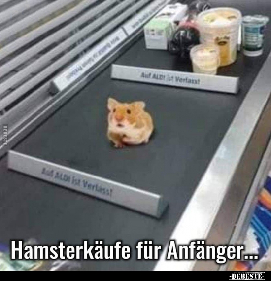 Hamsterkäufe für Anfanger.. - Lustige Bilder | DEBESTE.de