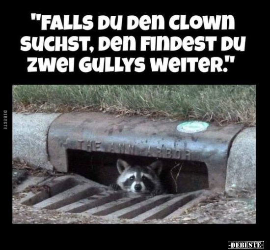 "Falls du den Clown suchst, den findest du zwei Gullys weiter.." - Lustige Bilder | DEBESTE.de