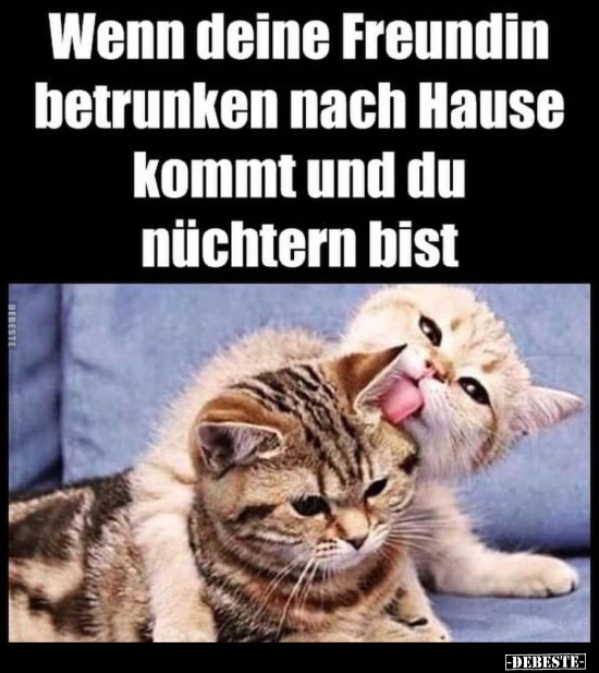 Wenn deine Freundin betrunken nach Hause kommt und du.. - Lustige Bilder | DEBESTE.de