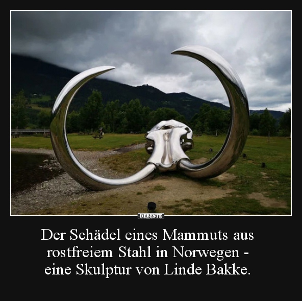 Der Schädel eines Mammuts aus rostfreiem Stahl in.. - Lustige Bilder | DEBESTE.de