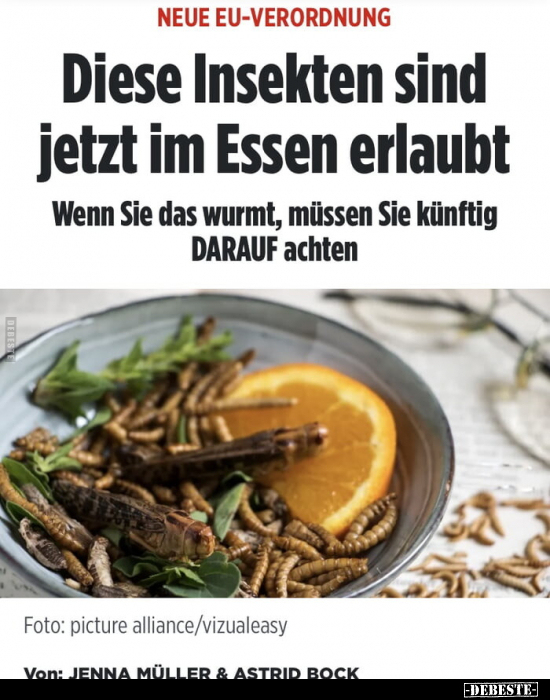Diese Insekten sind jetzt im Essen erlaubt.. - Lustige Bilder | DEBESTE.de