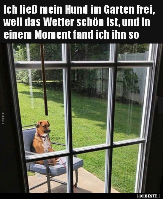 Ich ließ mein Hund im Garten frei, weil das Wetter schön.. - Lustige Bilder | DEBESTE.de