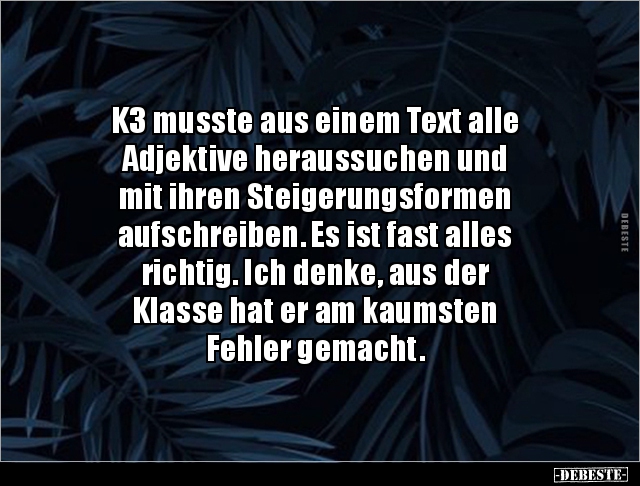 K3 musste aus einem Text alle Adjektive heraussuchen und.. - Lustige Bilder | DEBESTE.de
