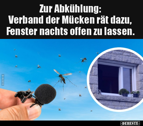 Zur Abkühlung: Verband der Mücken rät dazu.. - Lustige Bilder | DEBESTE.de