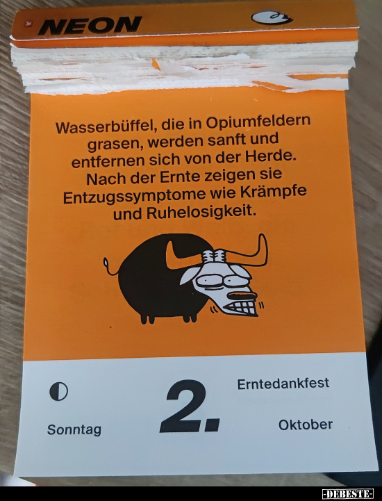 Wasserbüffel, die in Opiumfeldern grasen, werden sanft und.. - Lustige Bilder | DEBESTE.de