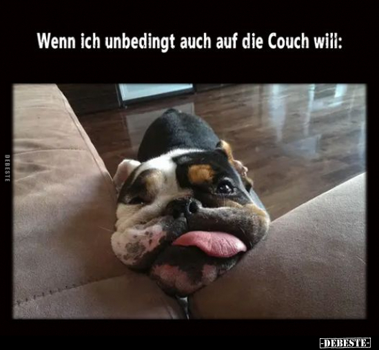 Wenn ich unbedingt auch auf die Couch will.. - Lustige Bilder | DEBESTE.de