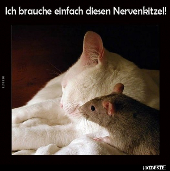Ich brauche einfach diesen Nervenkitzel!.. - Lustige Bilder | DEBESTE.de