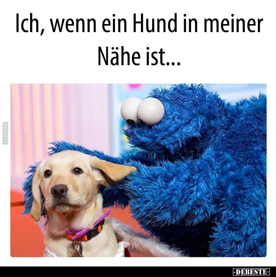 Ich, wenn ein Hund in meiner Nähe ist... - Lustige Bilder | DEBESTE.de