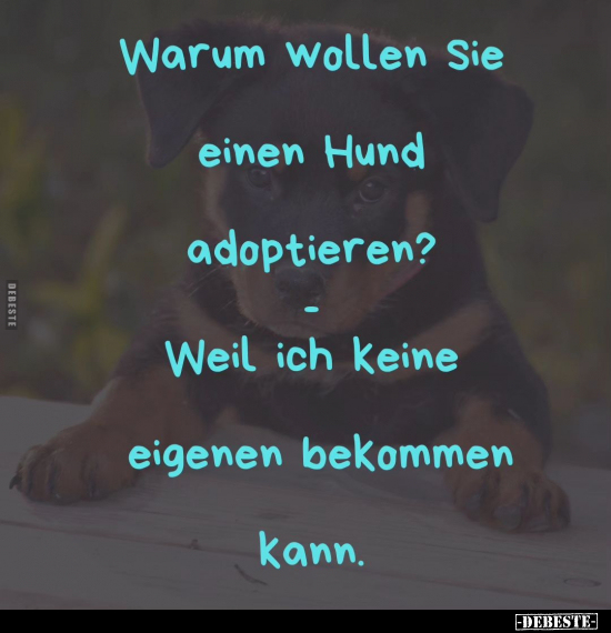 Warum wollen Sie einen Hund adoptieren?.. - Lustige Bilder | DEBESTE.de