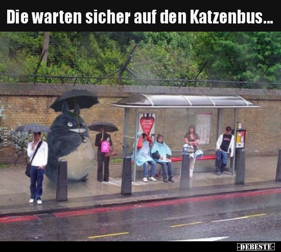 Die warten sicher auf den Katzenbus... - Lustige Bilder | DEBESTE.de