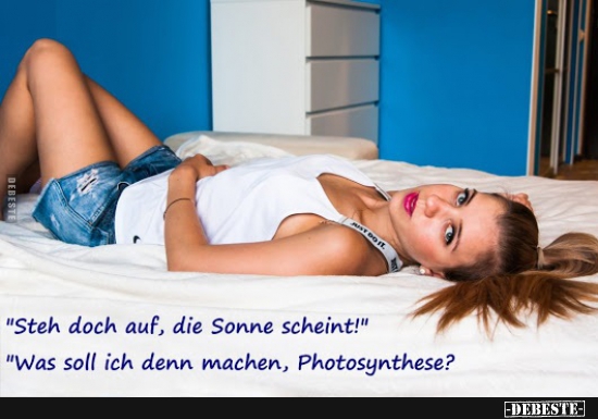 "Steh doch auf, die Sonne scheint!" - Lustige Bilder | DEBESTE.de
