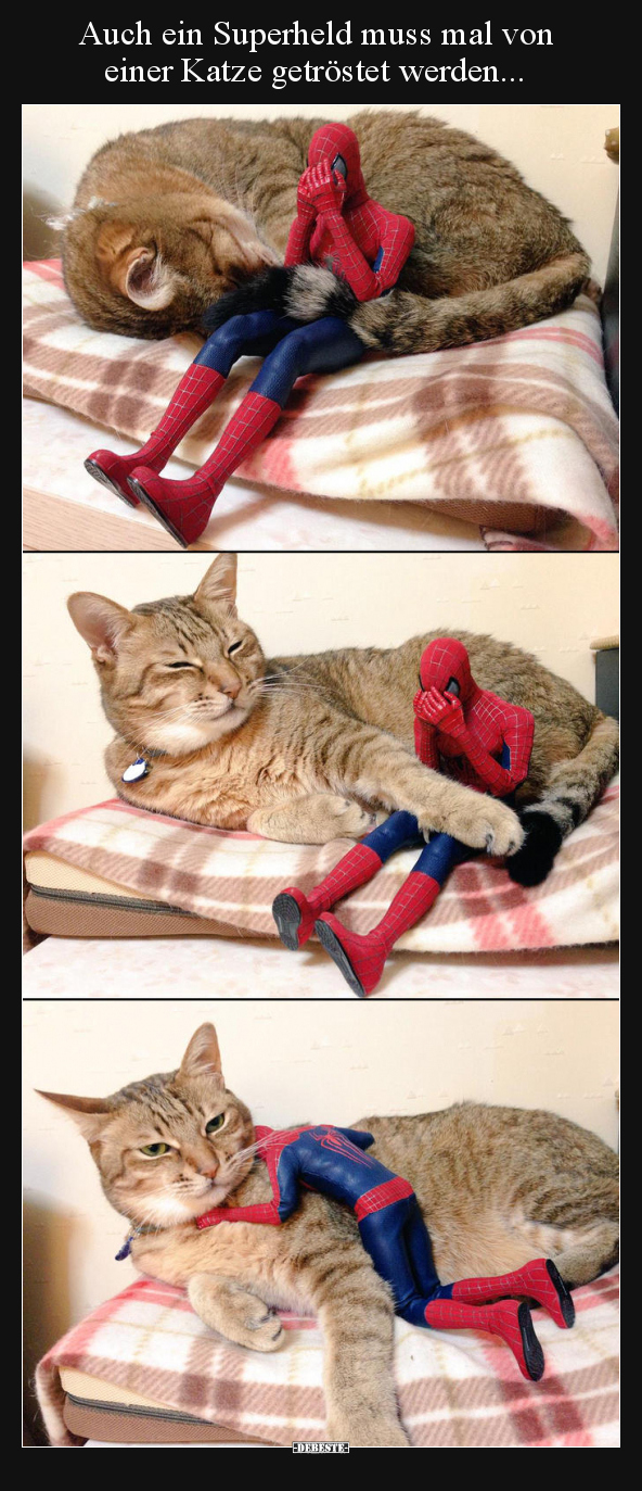 Auch ein Superheld muss mal von einer Katze getröstet.. - Lustige Bilder | DEBESTE.de