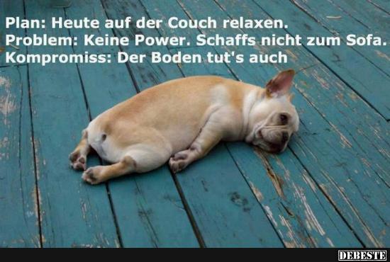 Plan: Heute auf der Couch relaxen.. - Lustige Bilder | DEBESTE.de