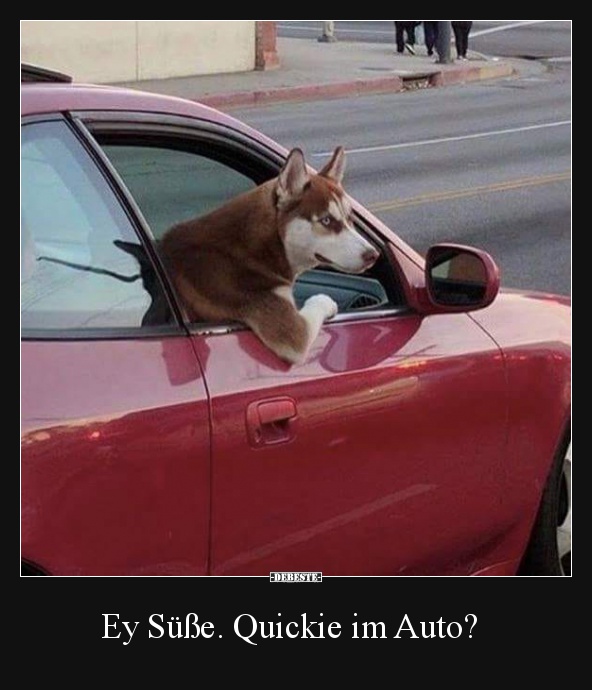 Ey Süße. Quickie im Auto? - Lustige Bilder | DEBESTE.de