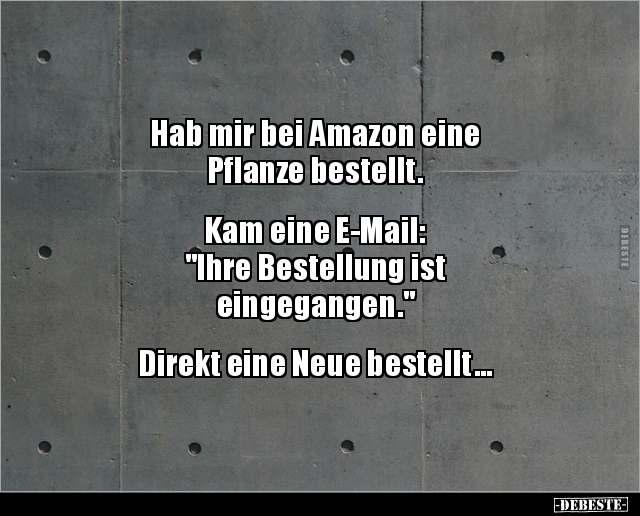 Hab mir bei Amazon eine Pflanze bestellt.. - Lustige Bilder | DEBESTE.de
