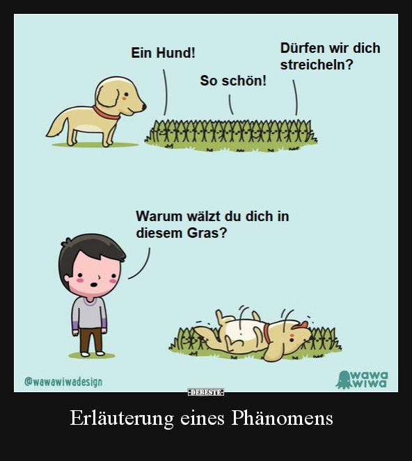 Erläuterung eines Phänomens.. - Lustige Bilder | DEBESTE.de