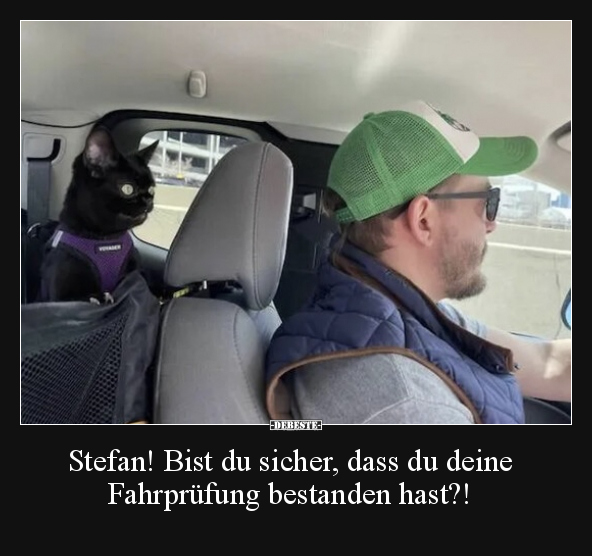 Stefan! Bist du sicher, dass du deine Fahrprüfung.. - Lustige Bilder | DEBESTE.de