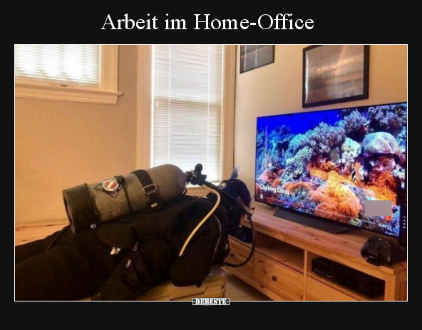 Arbeit im Home-Office.. - Lustige Bilder | DEBESTE.de