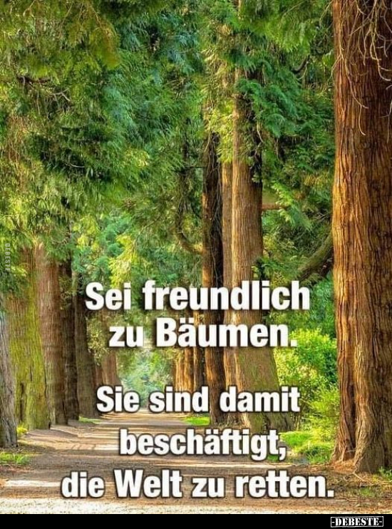 Sei freundlich zu Bäumen. Sie sind damit beschäftigt, die.. - Lustige Bilder | DEBESTE.de